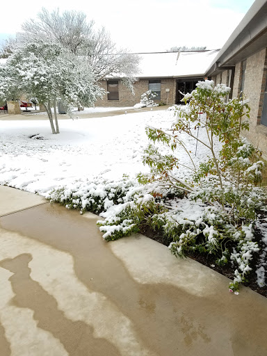 A serene winter scene showcasing a snow-covered garden and pathways.