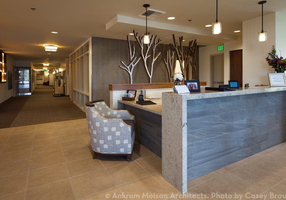 A modern office lobby with a decoratively designed reception area and contemporary furnishings.