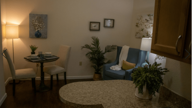 A cozy living room with a sofa, lamp, and decorative plants.