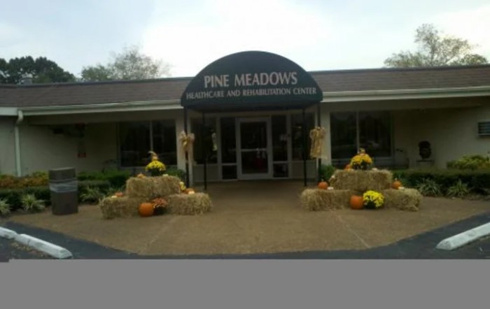 Pine Meadows Health Care And Rehabilitation Center