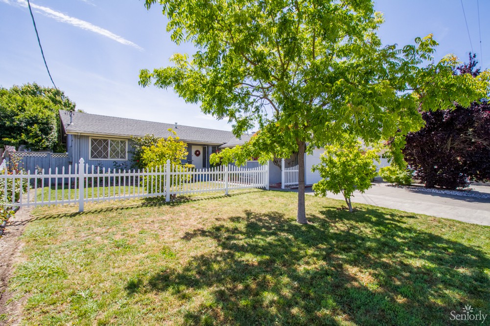 A suburban house with a white fence and green yard featuring a tree.