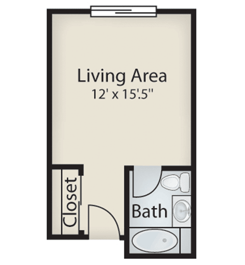 Studio apartment floor plan with a living area, bathroom, and closet.