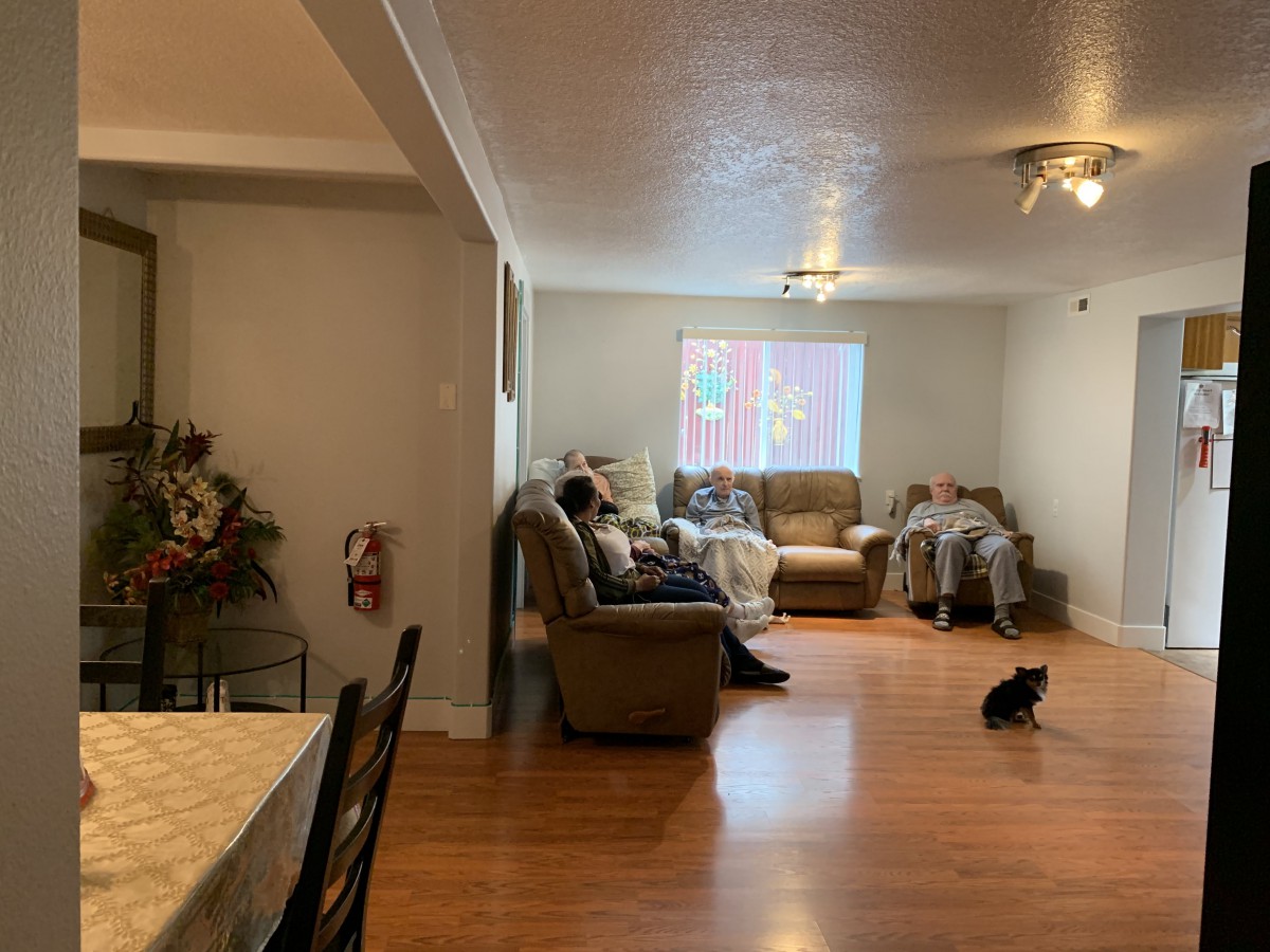 A cozy living room with a sofa, wooden flooring, and a cat sitting on the floor. There's a dining table to the left and light streaming in through the window.