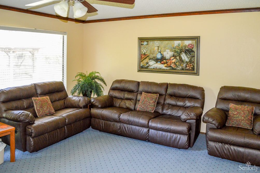 A cozy living room with brown leather sofas and a matching armchair, complemented by a decorative plant and painting on the wall.