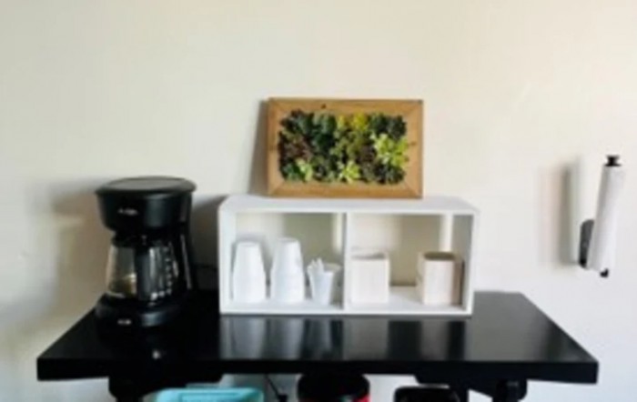 A neatly organized coffee station with a coffee maker, cups, and a decorative indoor plant display.