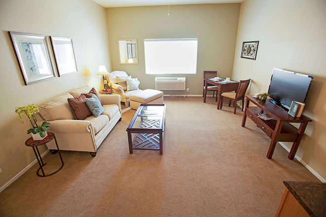 A cozy living room with sofas, chairs, and a central coffee table, illuminated by natural light from a large window.