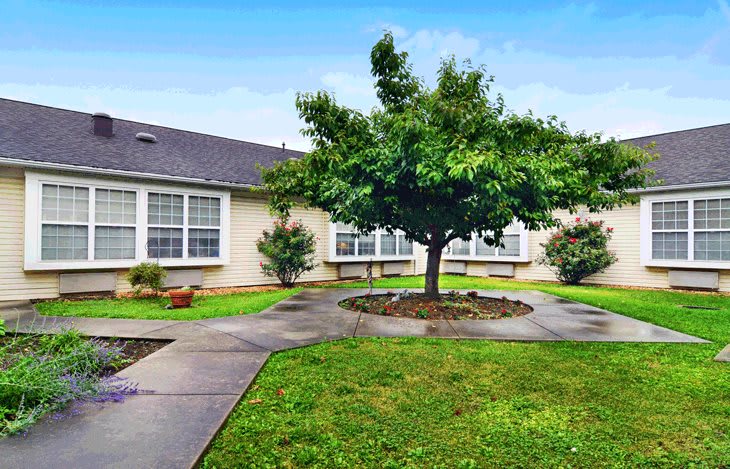 A serene courtyard with a central tree and surrounding pathways in front of a building.