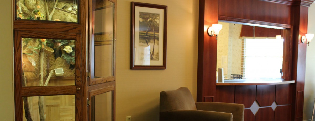 A cozy corner featuring a framed artwork on the wall, a comfortable chair, and warm lighting.
