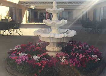 A beautiful fountain surrounded by colorful flowers in a garden setting.