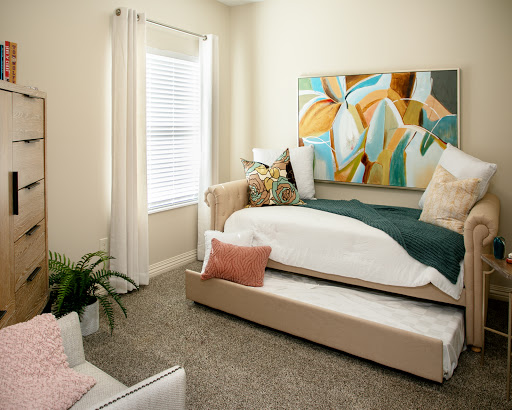 A cozy and modern bedroom featuring a stylish bed, colorful artwork, and a touch of greenery.