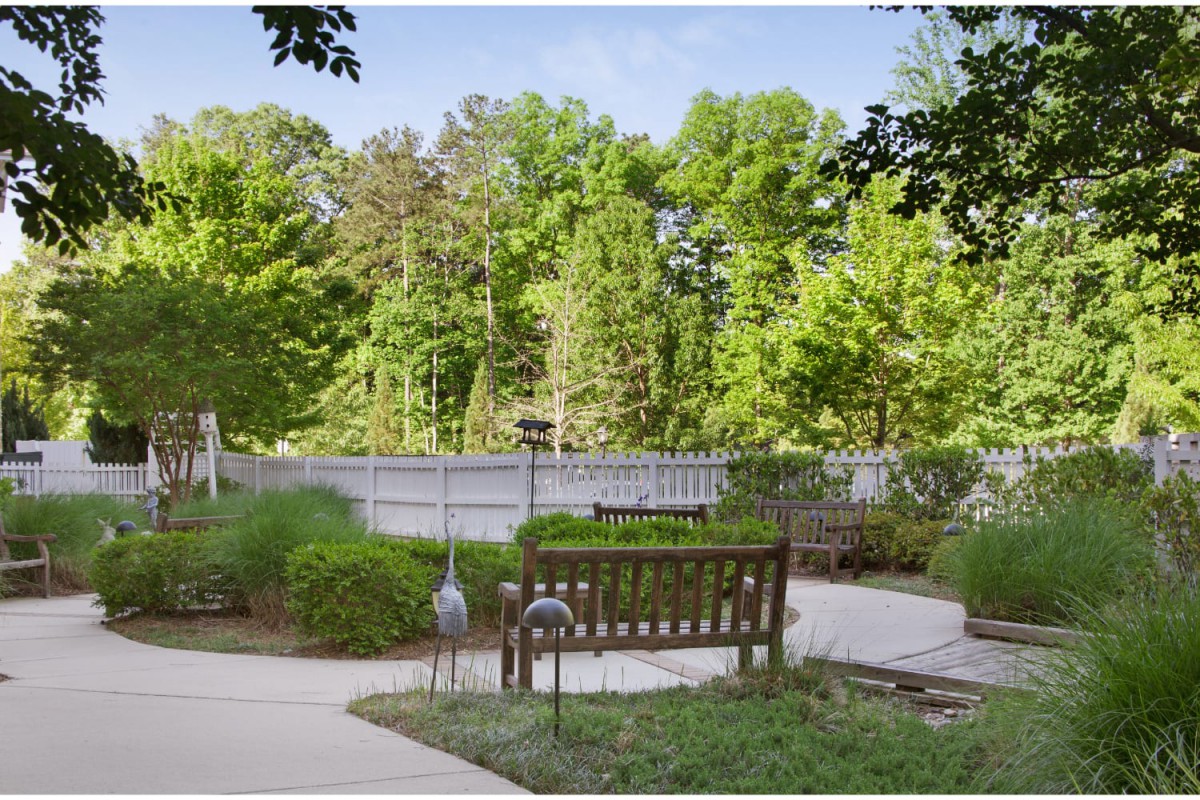A peaceful park setting with a wooden bench, surrounded by lush greenery and trees.