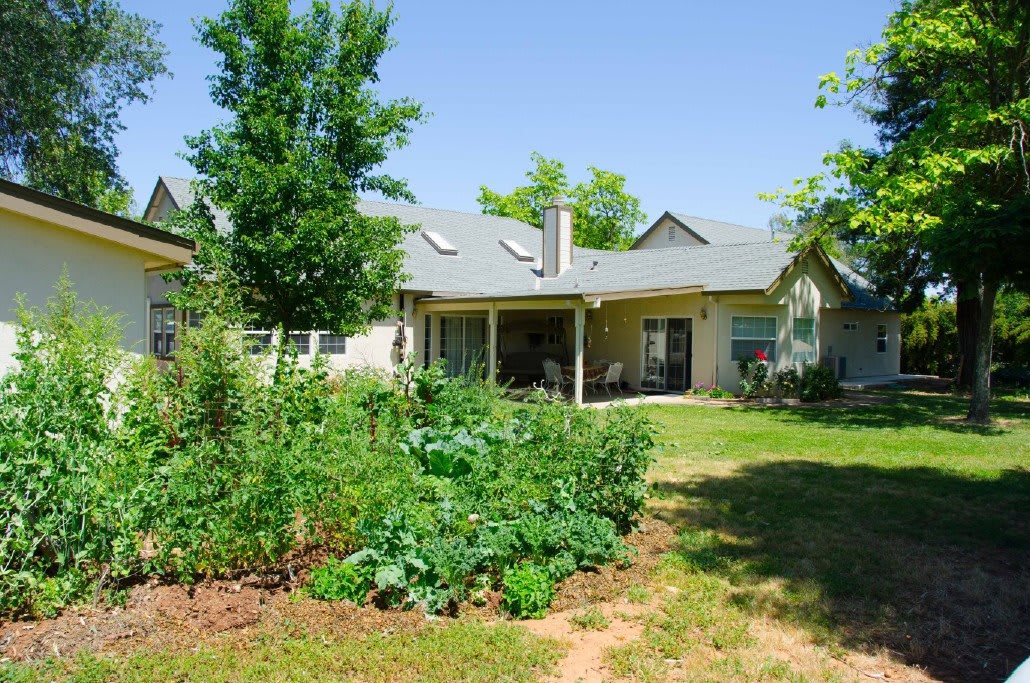 A backyard with a garden and a view of the house.