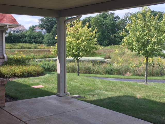 A peaceful backyard view with a patio, grassy lawn, and trees under a clear sky.