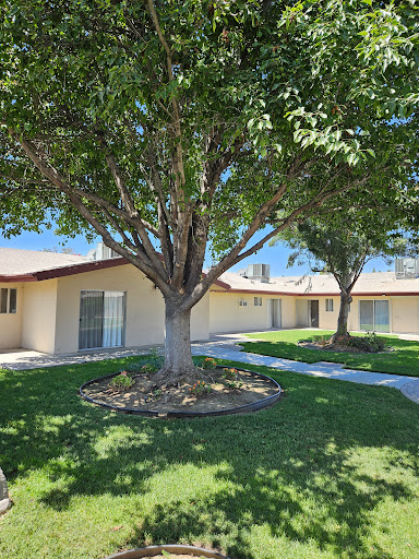 A serene residential courtyard featuring a well-maintained tree and lush green grass.
