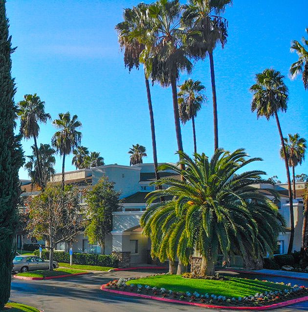 A sunny day with palm trees lining a street near a building, under a clear blue sky.