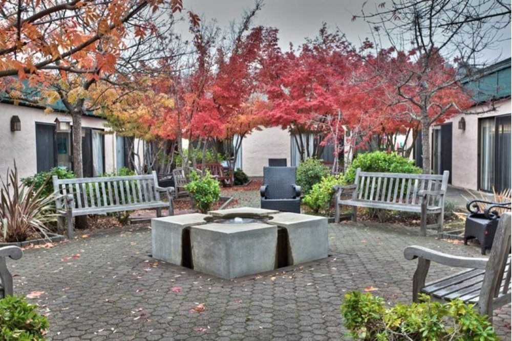 Walnut Creek Skilled Nursing & Rehabilitation Center