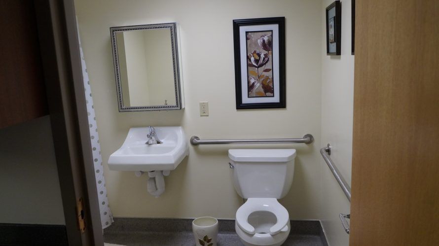 An accessible bathroom with a toilet, sink, mirror, and wall art.