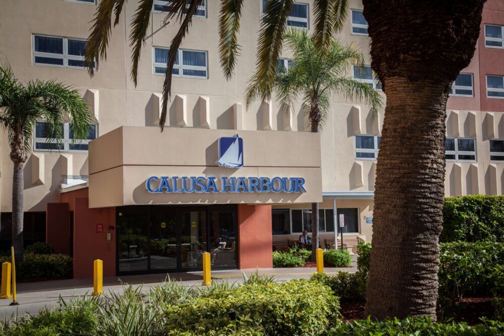 The entrance of a hotel surrounded by palm trees.