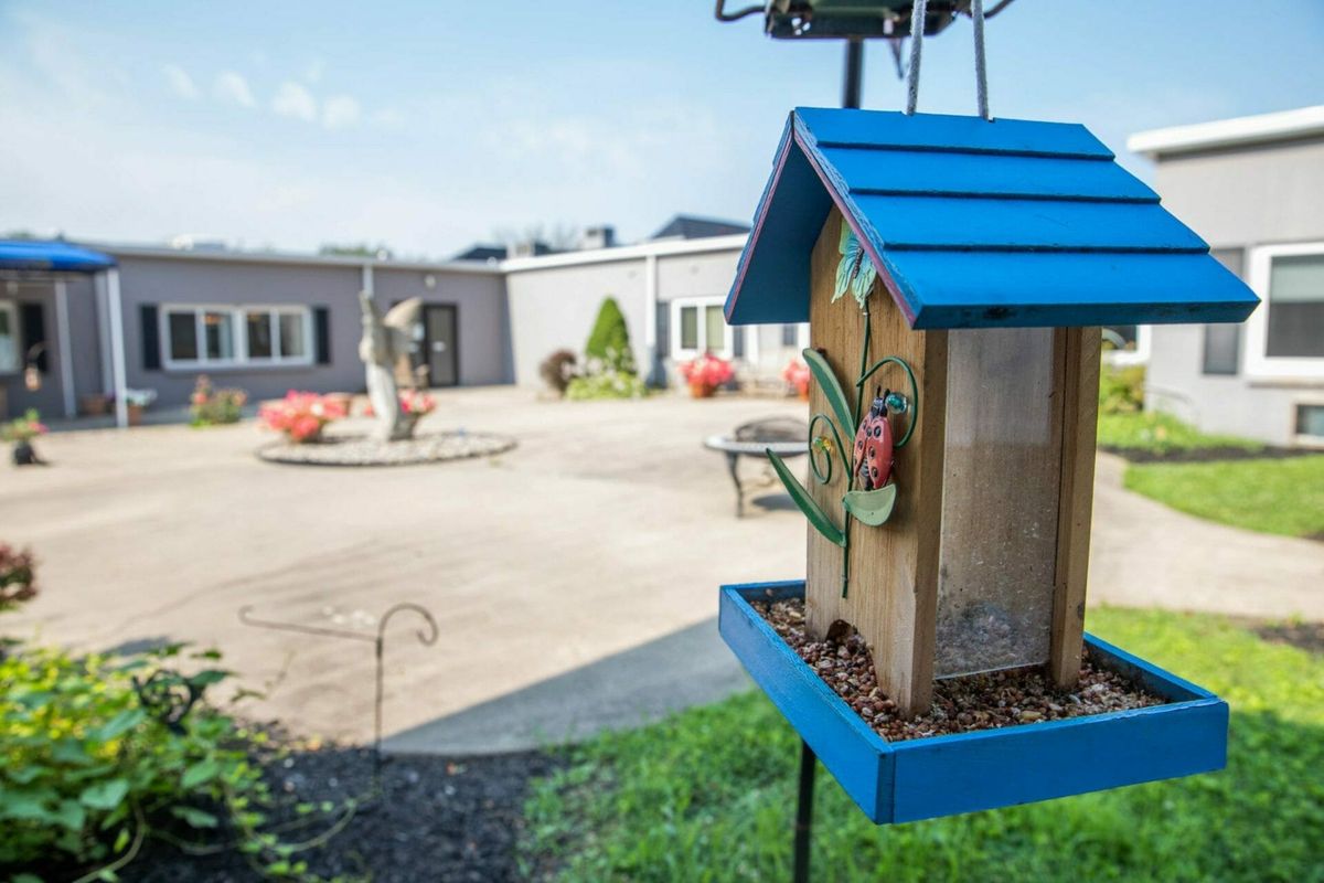 A colorful bird feeder with a blue roof is situated in a garden courtyard.