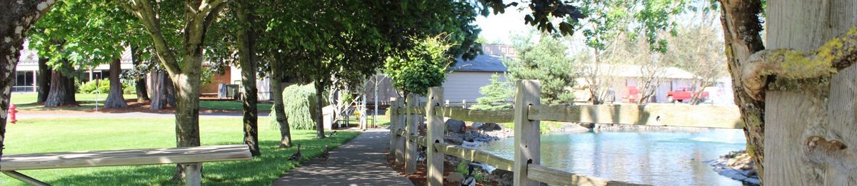 A scenic outdoor pathway lined with trees and a wooden fence.