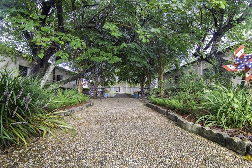 A serene pathway lined with trees, leading through a lush garden.