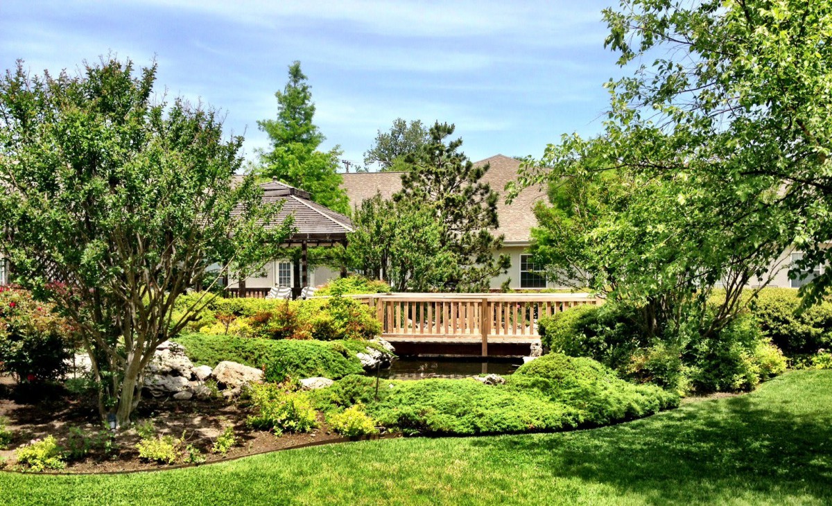 A beautiful garden landscape with a wooden bridge surrounded by lush greenery.