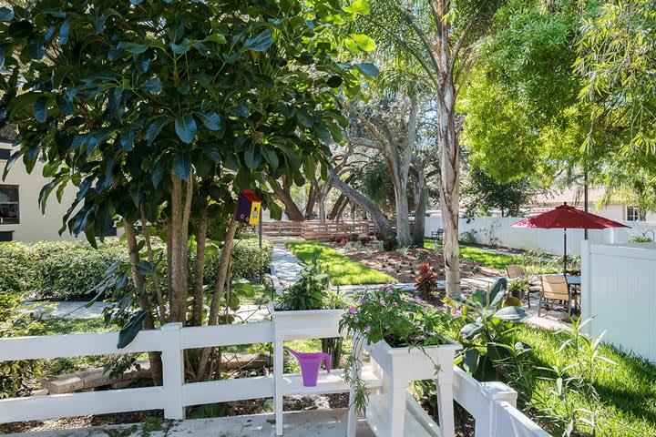 A tranquil garden scene with lush greenery and sunlight filtering through the trees.