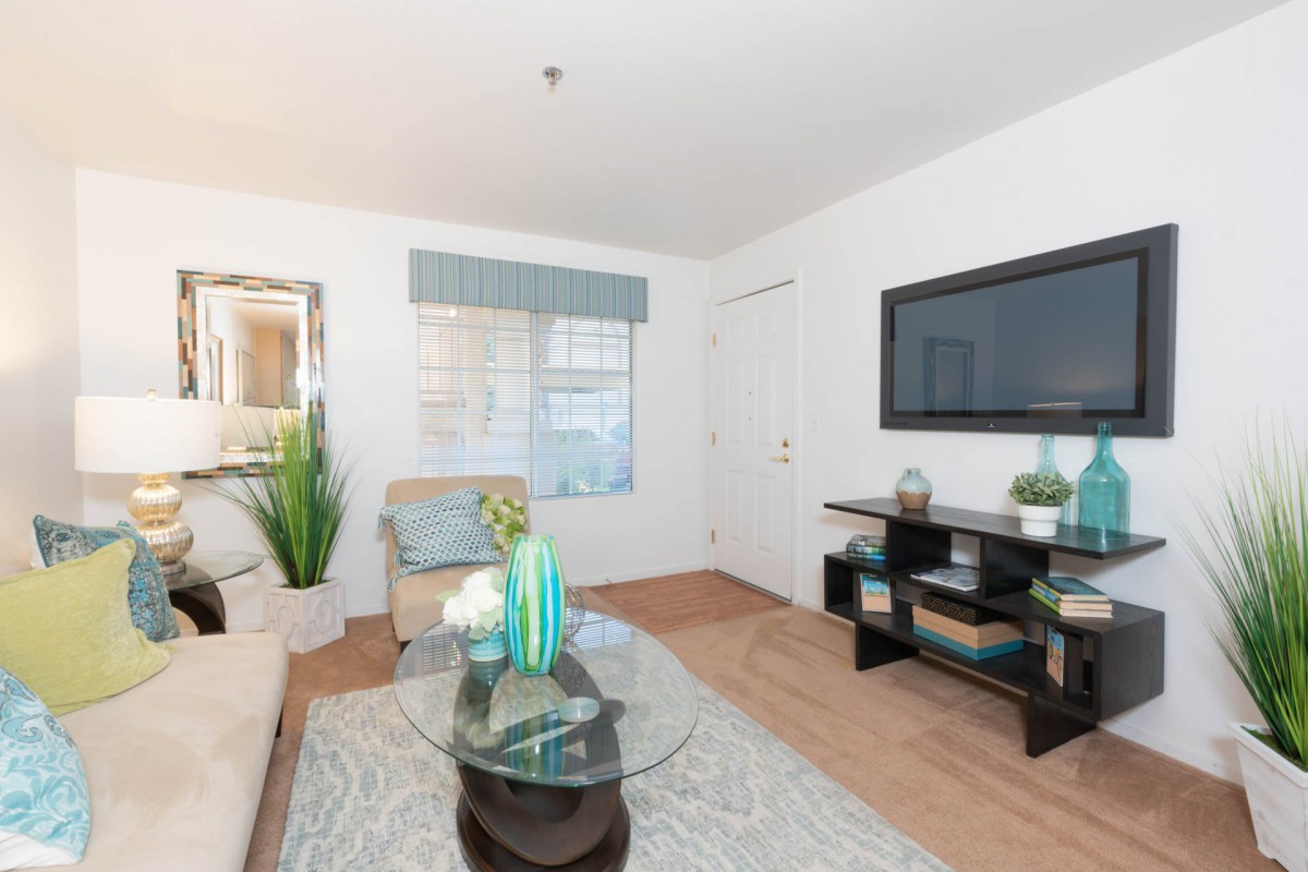 A modern living room with a sofa, glass coffee table, and wall-mounted television.
