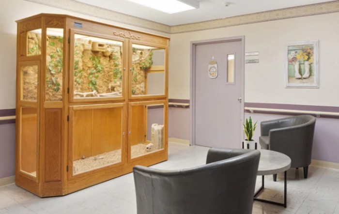 A waiting area with comfortable chairs, a large fish tank, and indoor plants.