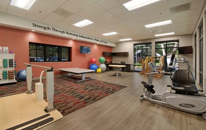 A spacious physical therapy room equipped with various exercise machines and therapy balls, designed for rehabilitation sessions.