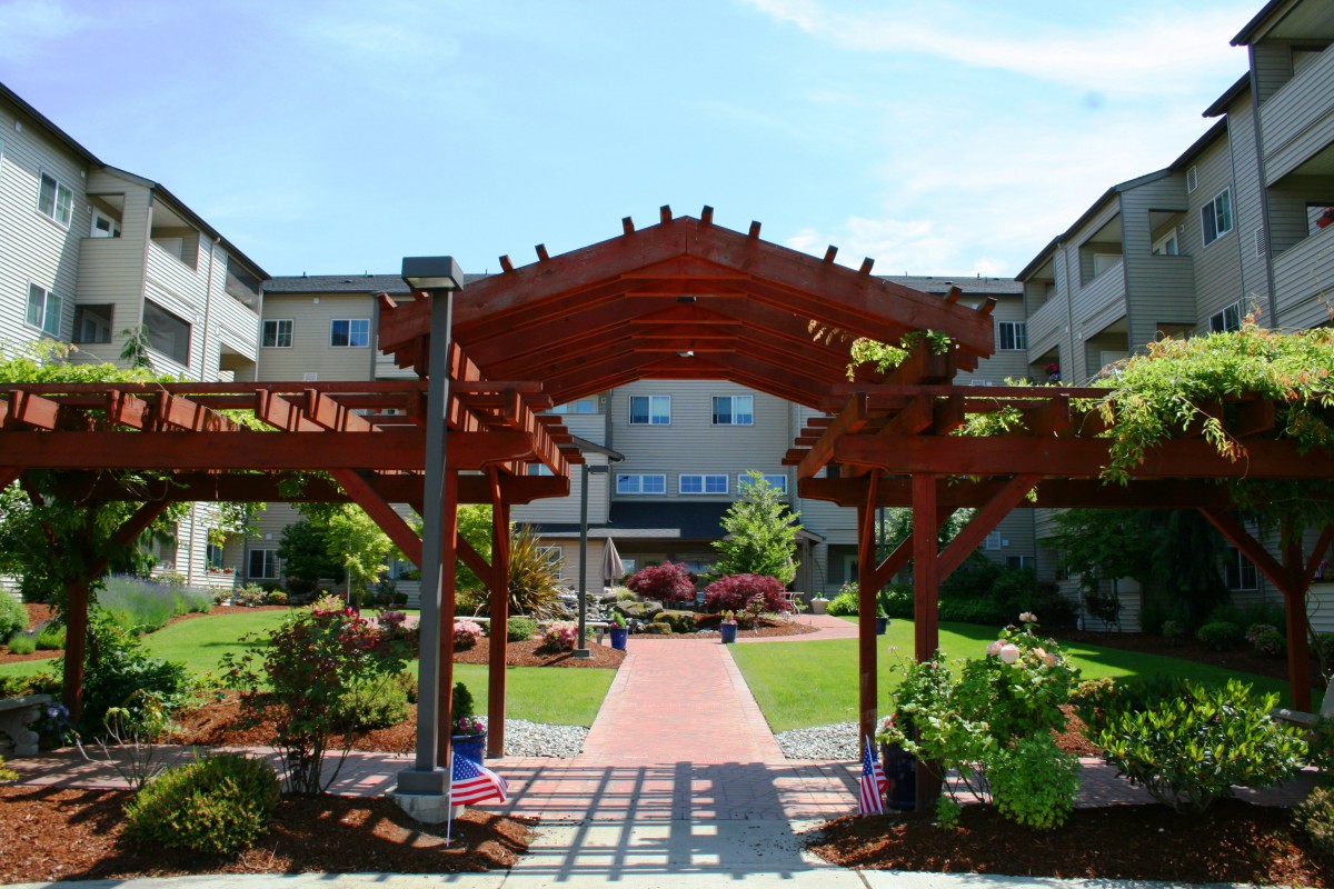 A beautifully landscaped garden with a wooden pergola and pathway leading to a building.