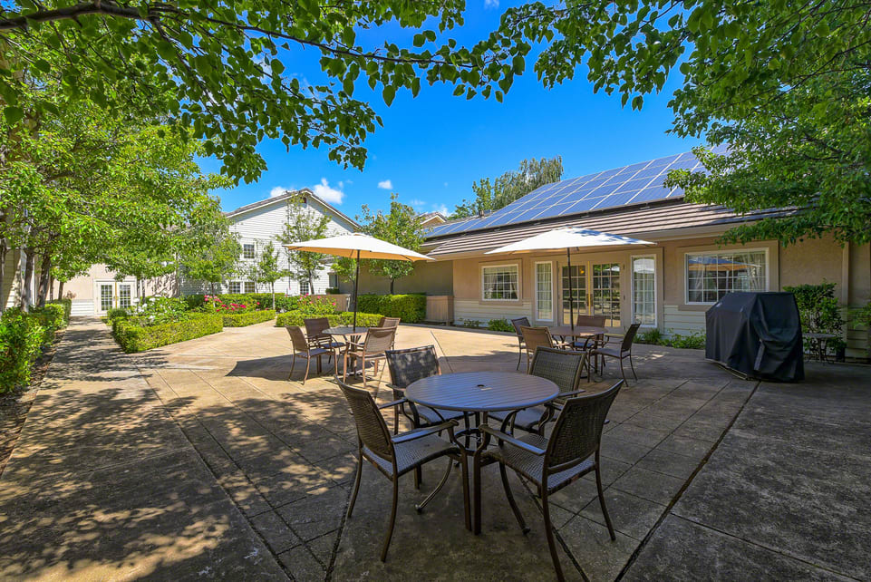 A sunny patio area with tables, chairs, and umbrellas surrounded by greenery.