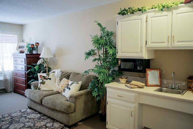 A cozy living room featuring a comfortable sofa, decorative indoor plants, and stylish cabinets.