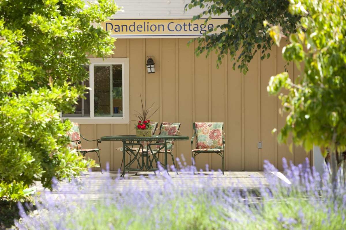 A charming cottage with inviting outdoor seating surrounded by lush greenery and vibrant flowers.