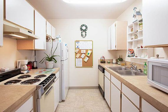 A compact kitchen with white cabinets, a stove, and a refrigerator, featuring bright lighting and a small plant.