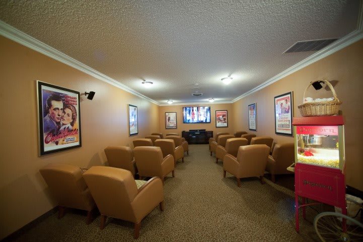 A cozy home theater room with comfortable armchairs and movie posters adorning the walls.