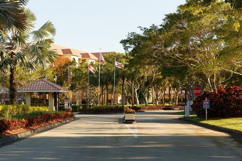 Entrance to a tropical resort with palm trees and flags lining the road.