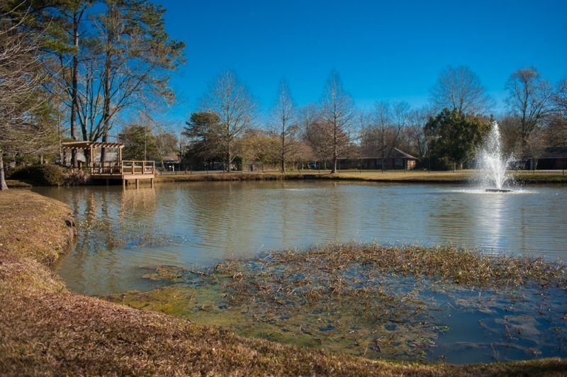 A serene pond surrounded by trees in a park setting.