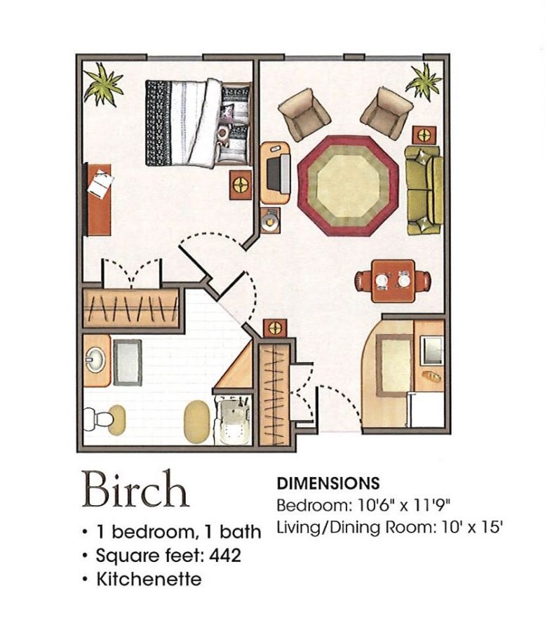 A floor plan for a one-bedroom apartment named 'Birch' with dimensions and furniture arrangement.