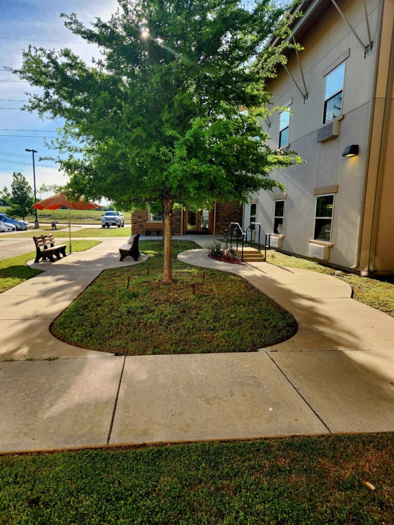 A serene outdoor space with a tree and winding pathway near a building.