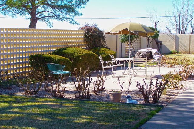 A sunny backyard with outdoor furniture, shrubs, and a patio umbrella.