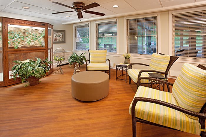 A cozy indoor seating area featuring comfortable chairs, a circular ottoman, and lush indoor plants against large windows.