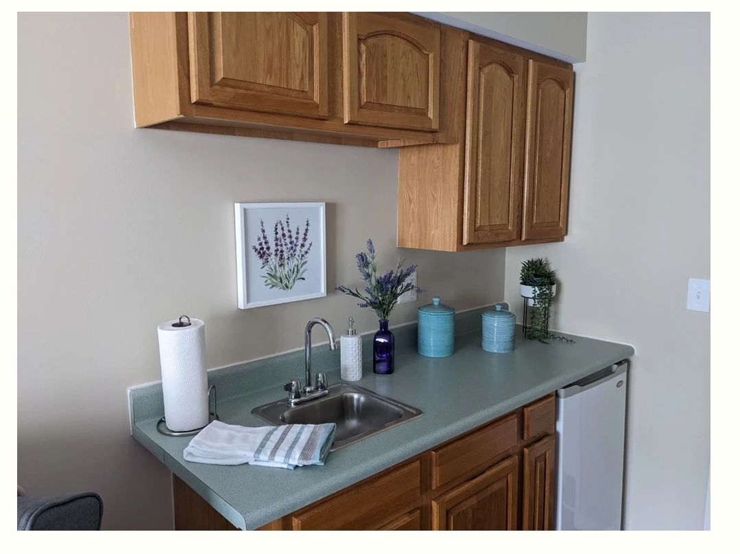 A small kitchen area featuring a countertop with a sink, wooden cabinets, decorative plants, and wall art.