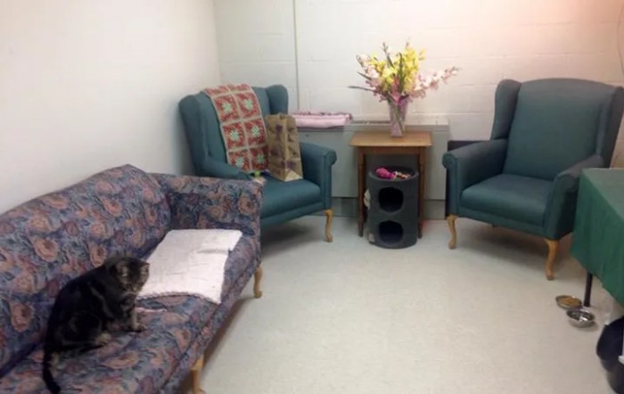 A cozy waiting room with comfortable chairs, a sofa, and a vase of flowers.
