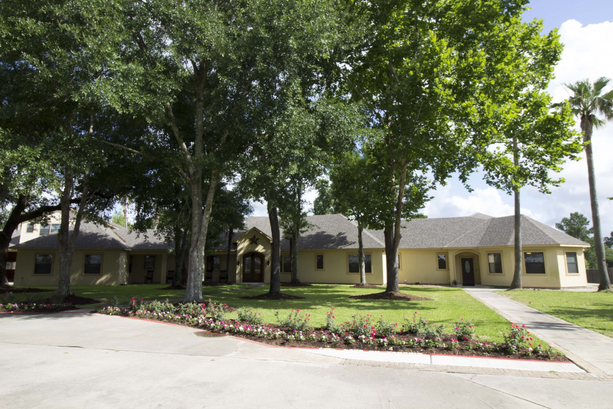 A suburban house surrounded by trees with a driveway in front.