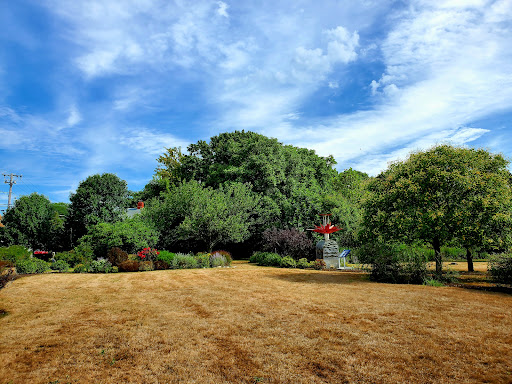 A serene park landscape featuring lush trees and a clear blue sky.