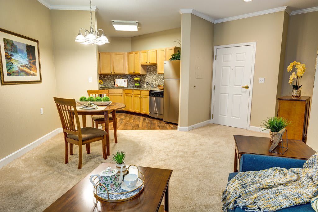 A modern open-layout living space featuring a kitchen, dining area, and cozy seating arrangement.