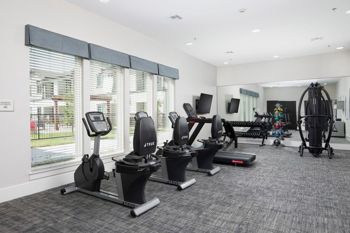 A modern gym equipped with cardio machines and fitness equipment.