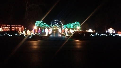 A vibrant display of holiday lights illuminating the pathway at night.