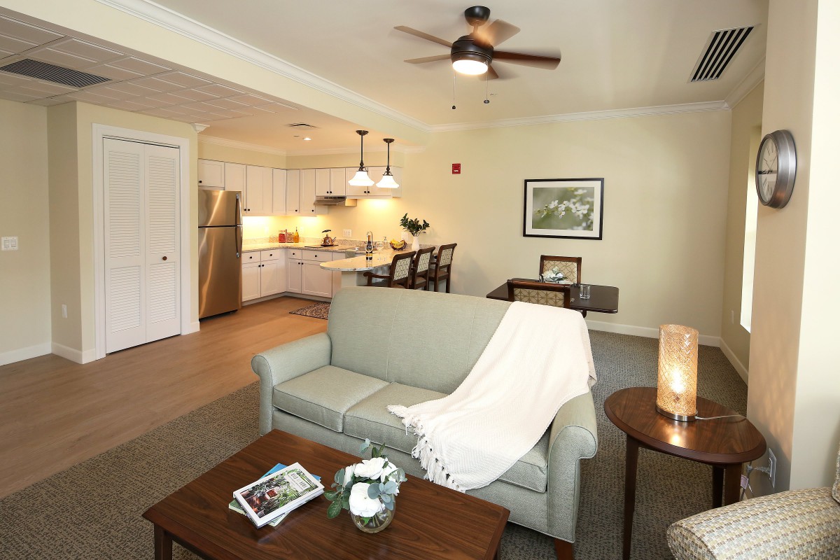 A modern open-plan living room and kitchen with cozy decor and contemporary furniture.
